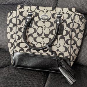 Coach- cross body (small)